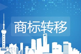 公司自主清算注銷后的商標移轉(zhuǎn)常見問題